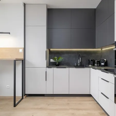 Lägenhet Lema 19 Uniqe In With Garden Air Conditioning Parking Near Tauron Arena By Renters Prestige *